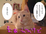 じっちゃんの名にかけて