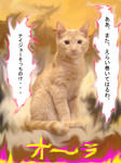 あ・そ・ぼ・・・