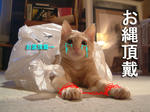売るとですか？