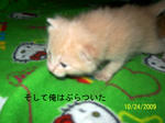 う～ん、はろーきてぃ