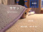 これ驀直進前なり