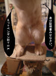 座ってばっかりじゃないジョー