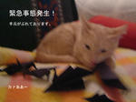 ガブッ