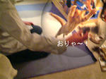 あそびの特訓