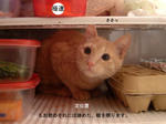 ぴったし