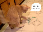 23本入り