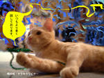 おちゃらけ