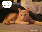 これまた自然で