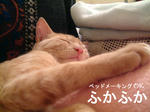 ピンクの春2010