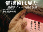 写真はちょっと