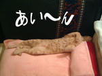 ピーチボーイ