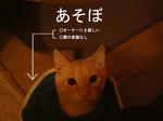 ベネトン風