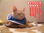 寝るときもお洒落