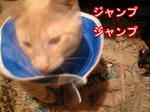 のりのり