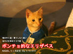 なにがなんでも
