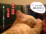 ナイジョのお話しきかせてよ