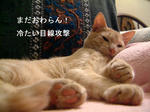 んも～まだ～