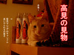 目の錯覚です