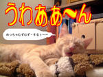 大人になるってむず痒い