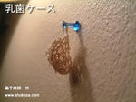 世界初！ありえへん