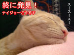 　<strong>麒麟です</strong>　