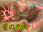 ひぃぃーーー