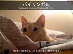 なれやね