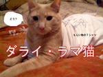 お昼ねチュウなのでお静かに