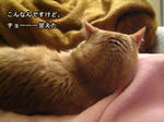 し～～～ん