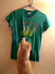 Michelangelo　&ないさん