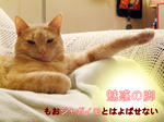 出口はコチラ