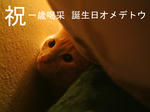 かわいすぎますです