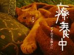 いんねん