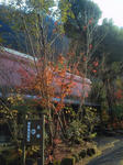 NEC_0128.JPG