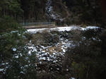 NEC_0214.JPG