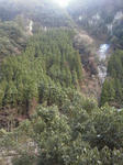 NEC_0211.JPG