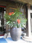 NEC_0220.JPG