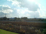 SN340013.JPG