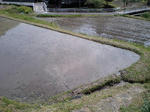 CA360010.JPG