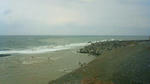 NEC_0128.JPG