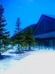 IMAG0189.jpg
