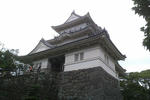 IMAG0228.jpg