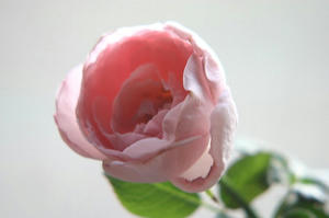 IMG_4702_l.jpg