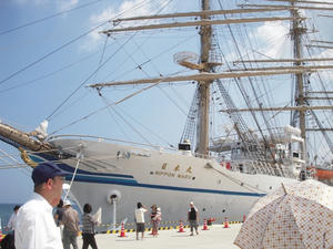 DSCN2990_ms.JPG