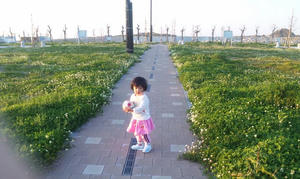SH3D0058_ms.JPG