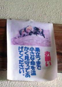SH3D0057.jpg