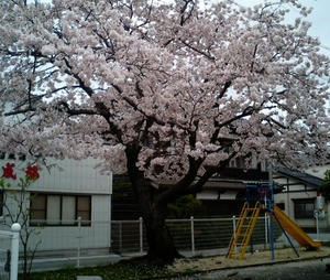 CA250083.jpg
