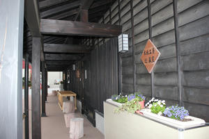 IMG_0460_L.jpg