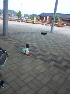 5247d2ab.jpeg