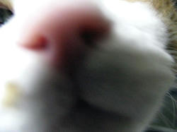 090222.m.jpg